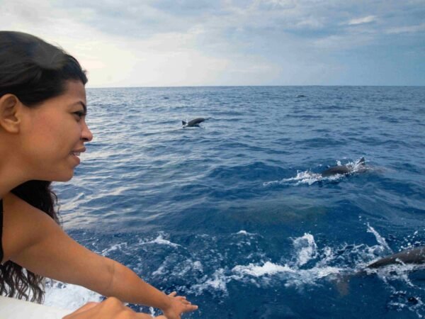 avistamiento de delfines en huatulco rio adventure mexico