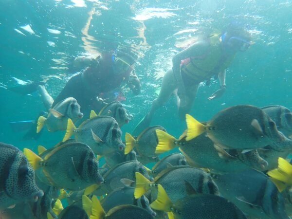 snorkel en playa la entrega en huatulco rio adventure mexico