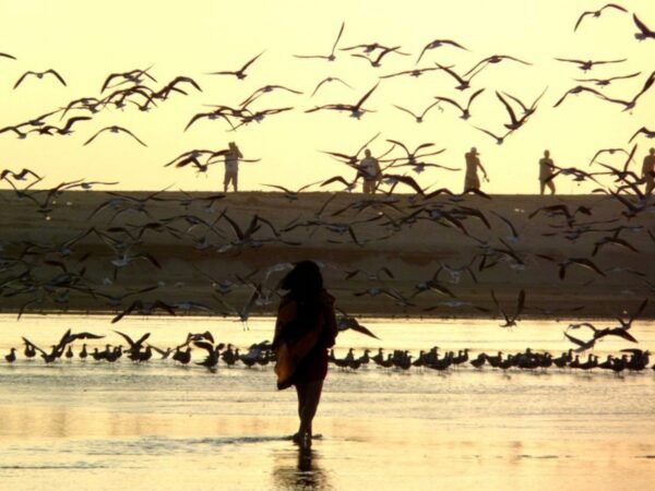 tour a la laguna de manialtepec en puerto escondido rio adventure mexico