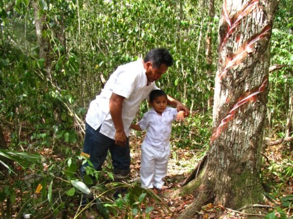 tour al campamento de chicle en tulum rio adventure mexico