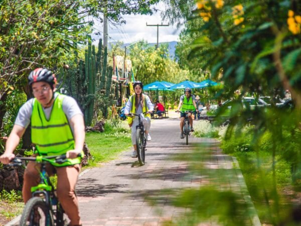 tour en teotihuacan y ruta del pulque rio adventure mexico