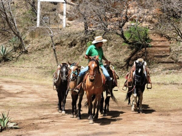 cabalgata en malinalco rio adventure mexico