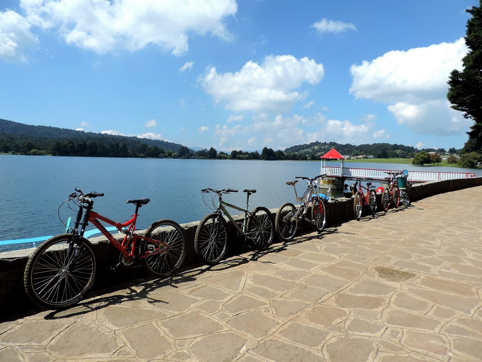 2-el-oro-en-bicicleta-tour