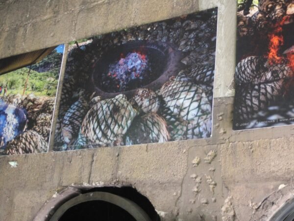 recorrido a destileria en malinalco rio adventure mexico