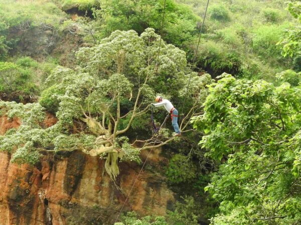 experiencia en puente tibetano en malinalco rio adventure mexico