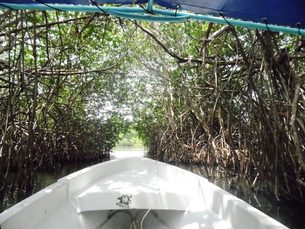 laguna chacahua en puerto escondido rio adventure mexico